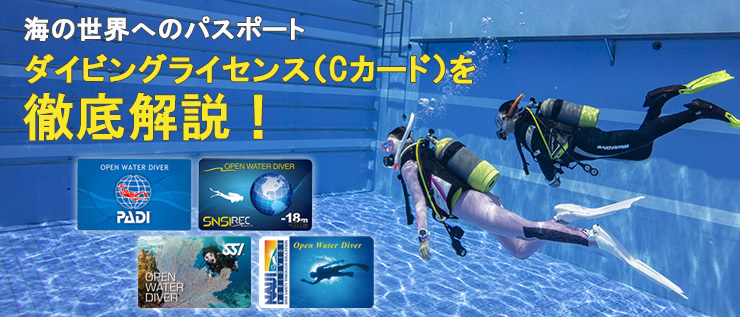 ダイビングライセンス Cカード を徹底解説 ダイビングの始め方 楽しみ方徹底ガイド Marine Diving Web マリンダイビングウェブ