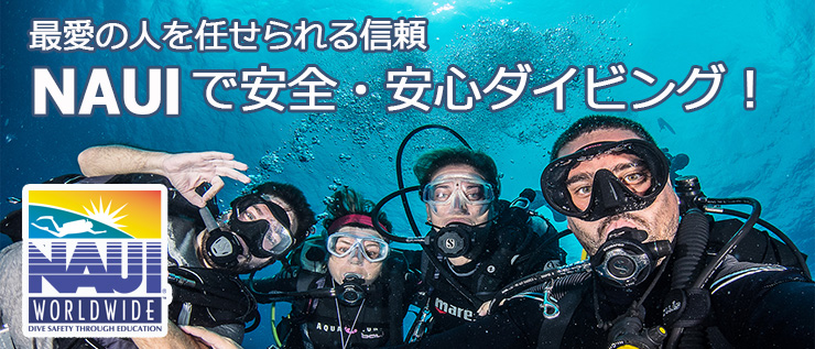 Nauiダイバーになって安全 安心ダイビングを ダイビングの始め方 楽しみ方徹底ガイド Marine Diving Web マリンダイビングウェブ