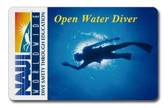 Nauiダイバーになって安全 安心ダイビングを ダイビングの始め方 楽しみ方徹底ガイド Marine Diving Web マリンダイビングウェブ