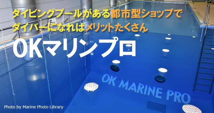 東京・練馬のOKマリンプロはダイビングプールのある創業63年の都市型