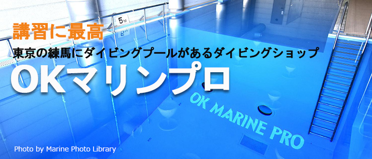 OKマリンプロ