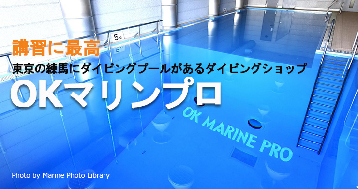 東京の練馬にダイビングプールがあるダイビングショップ《OKマリンプロ》｜ダイビングの始め方＆楽しみ方徹底ガイド｜Marine Diving  web（マリンダイビングウェブ） のための防水浸水許容カバー浜のプールのカヤックのダイビングの水泳釣 for Black Shark 3 Pro (2020) - ブ