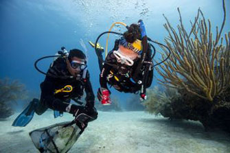 海の保護のために「ダイバーだからできること」の機会を提供します