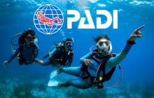 PADIでダイビングを始めるのがおすすめの理由