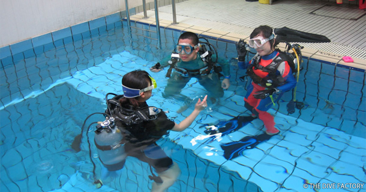 ダイビング始めるならザ ダイブファクトリー ダイビングの始め方 楽しみ方徹底ガイド Marine Diving Web マリンダイビングウェブ ダイビング始めるならザ ダイブファクトリー ダイビングの始め方 楽しみ方徹底ガイド Marine Diving Web マリンダイビングウェブ