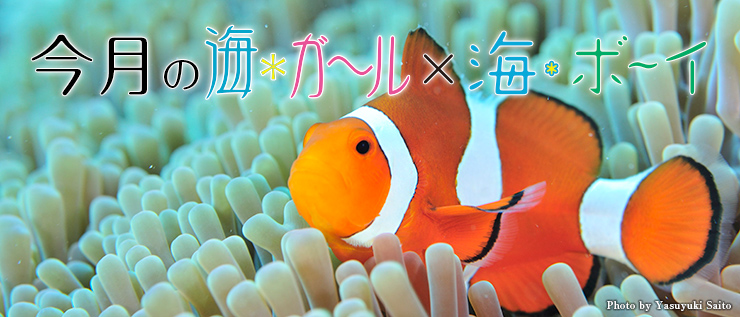 今月の海ガール×海ボーイ