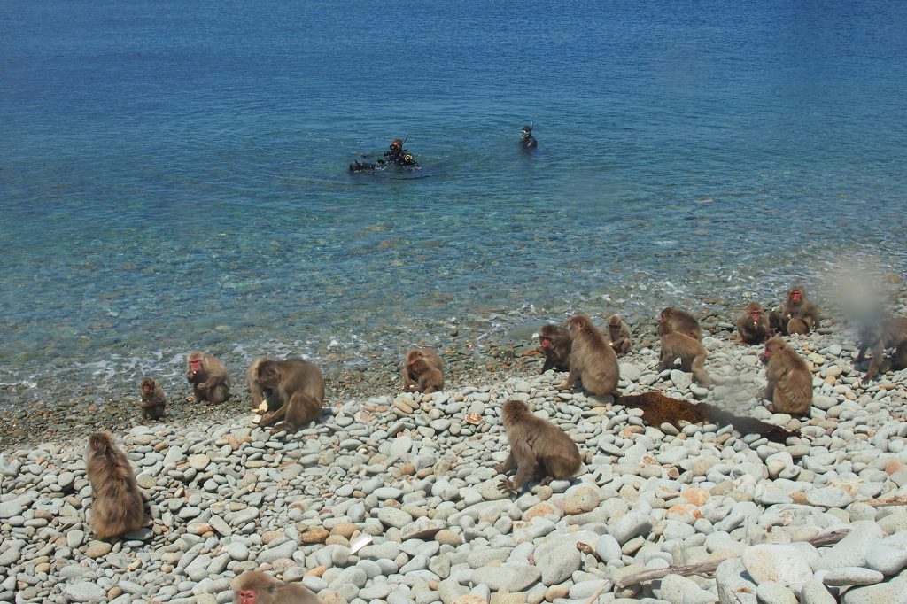 a98fee91d84bdaa881cf39a0b5116e