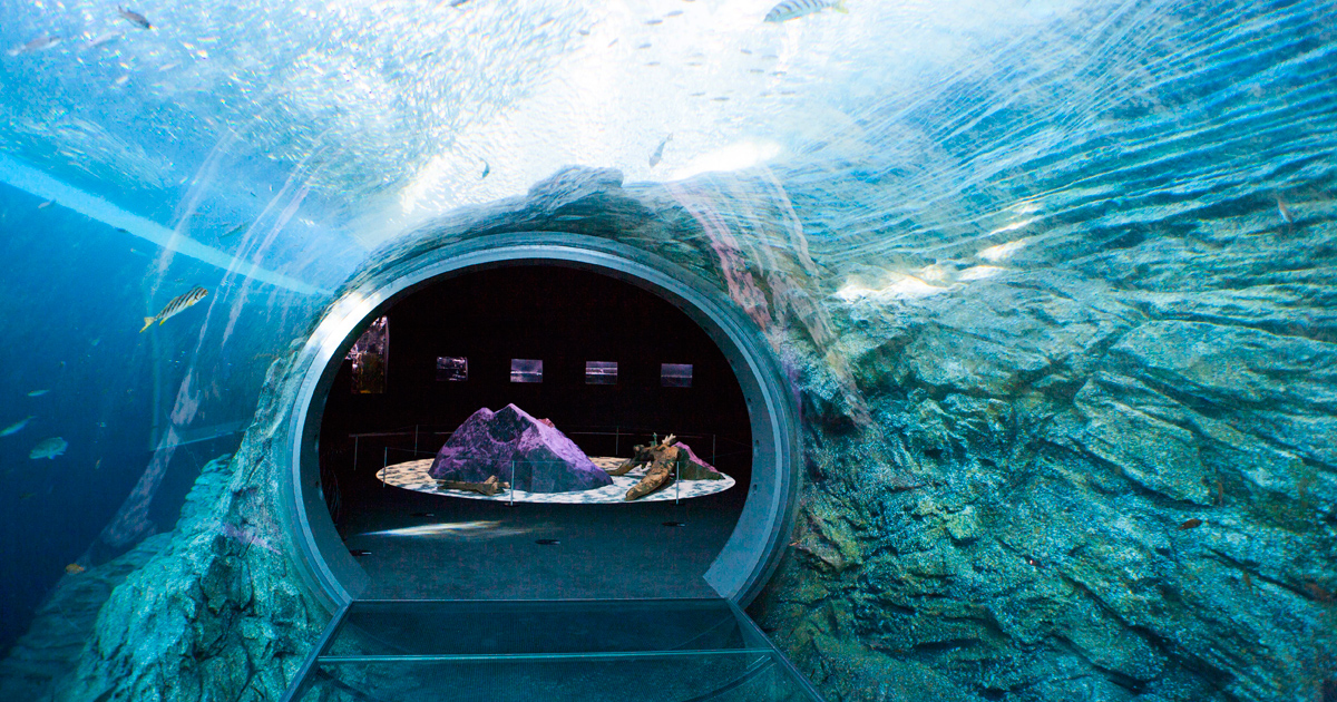 上越市立水族博物館「うみがたり」オープン！