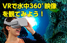 水中360°動画を撮ったらVRで楽しもう！