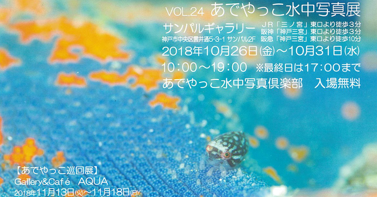 「あでやっこ水中写真展」神戸で開催