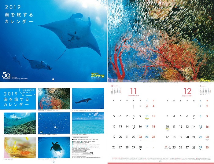 特別付録<br />
２０１９海を旅するカレンダー