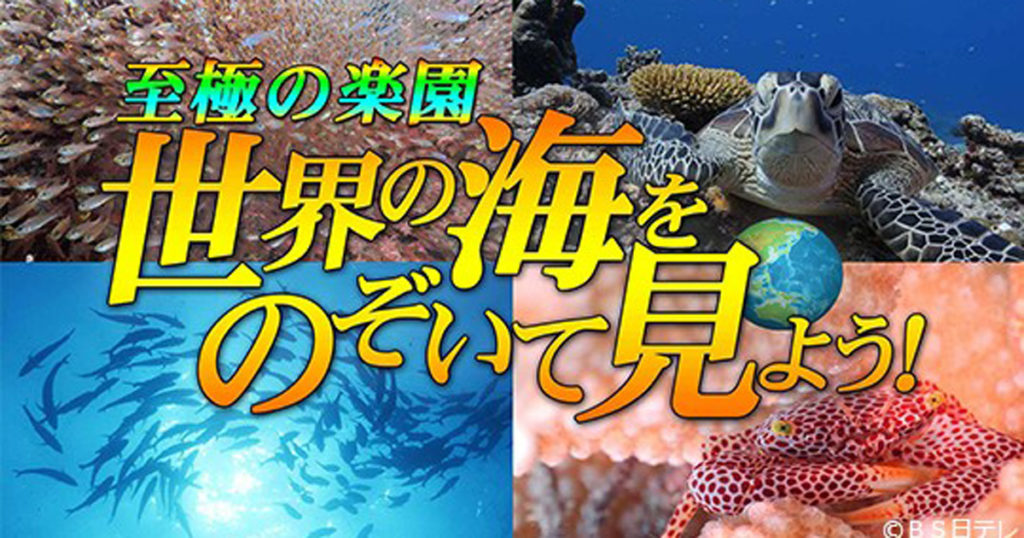 世界の海をのぞいて見よう！2」 グアム＆大瀬崎｜ニュース・トピックス