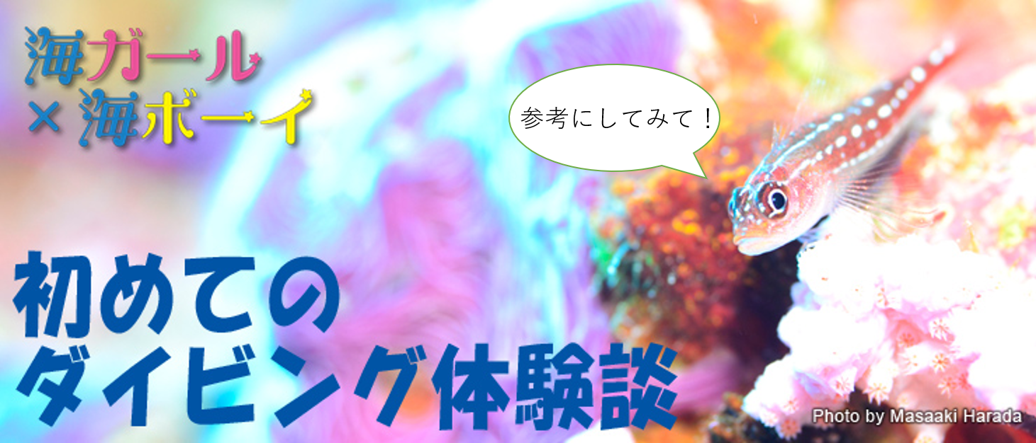 2019年6月公開 初めてのダイビング体験談 #1