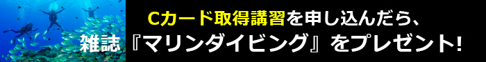 ダイバーになろうキャンペーン(大)