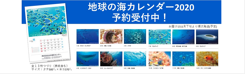 地球の海カレンダー 予約受付開始 ニュース トピックス Marine Diving Web マリンダイビングウェブ