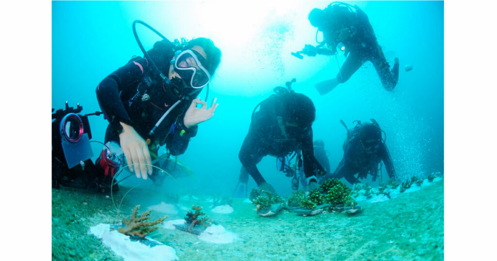 大瀬崎でサンゴの植え付け！ 開催レポート｜ニュース・トピックス