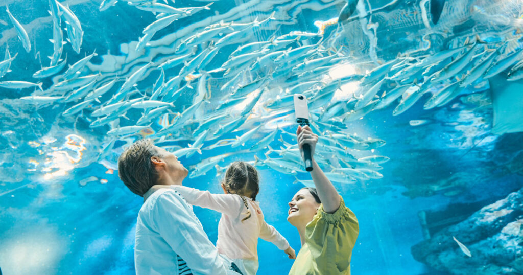 360°カメラに待望の水中モード搭載！ 12/13発売｜ニュース・トピックス