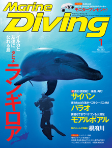 Marine Diving 2020年1月