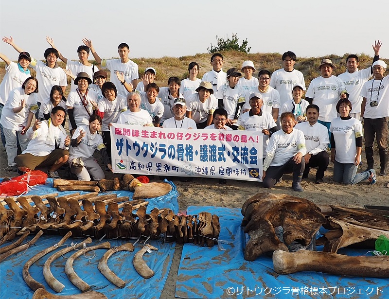 2019年10月30日、高知県黒潮町の浜で、骨格発掘作業が行なわれました
