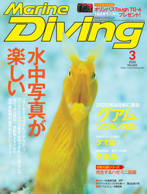 月刊『マリンダイビング』2020年3月号