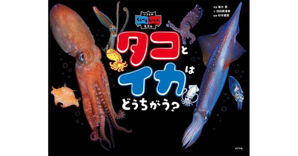 峯水亮さん『タコとイカはどうちがう？』好評発売中｜ニュース 