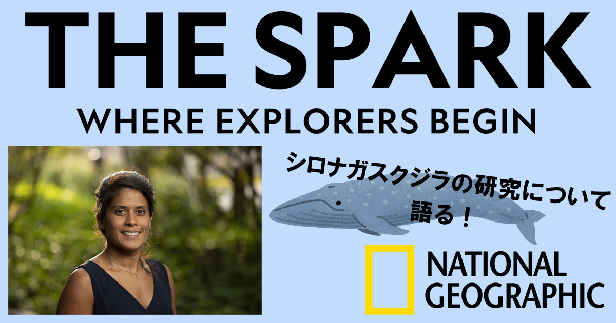 シロナガスクジラの研究について語る「THE SPARK」