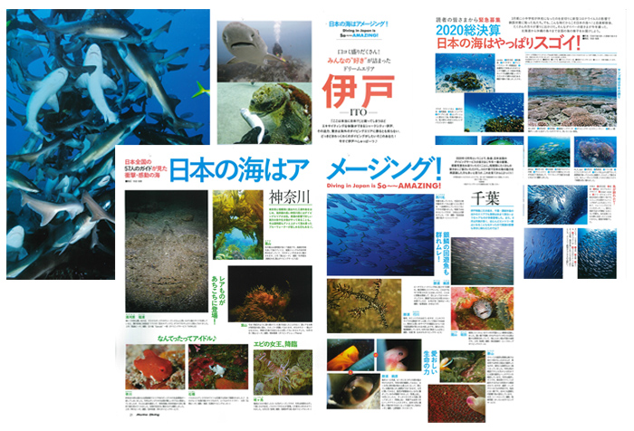 日本の海はアメージング！<br />
Diving in Japan is So～～Amazing !