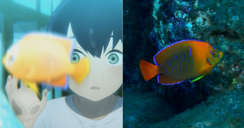 クラリオンエンゼルってどんな魚 アニメ映画 ジョゼと虎と魚たち に登場する海の生き物をチェック Marine Diving Web マリンダイビングウェブ トピックス