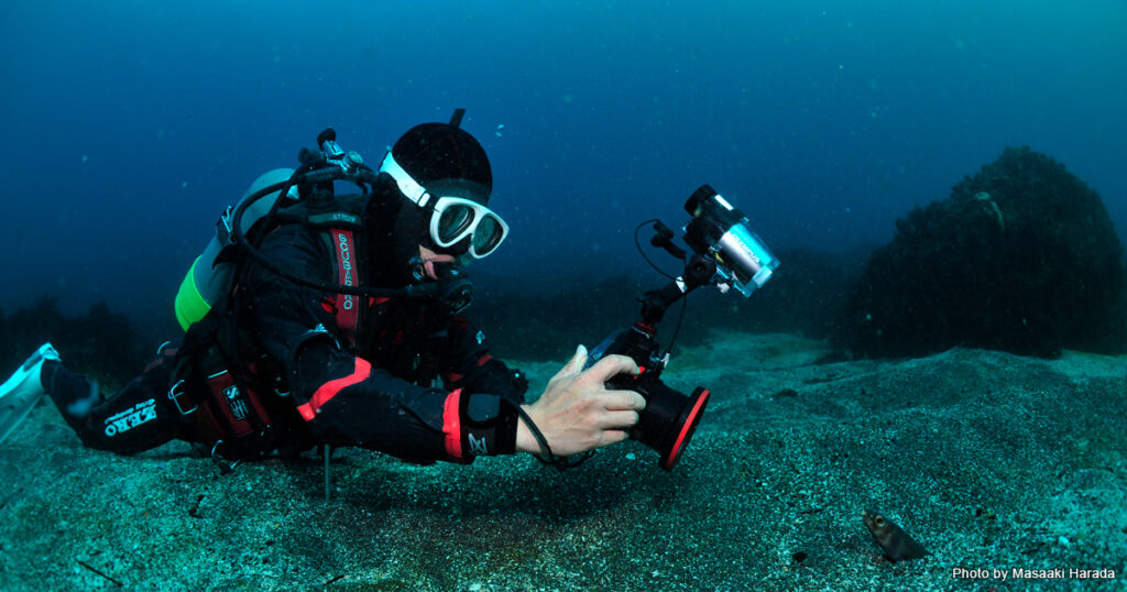 上手に水中写真を撮るためのスキル＆極意とは｜Marine Diving web（マリンダイビングウェブ）トピックス