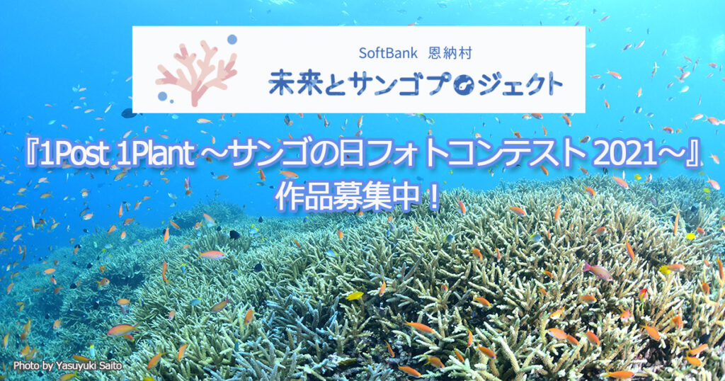 楽天市場】リアルなヒトデ(大) 2色2個 スターフィッシュ マリン