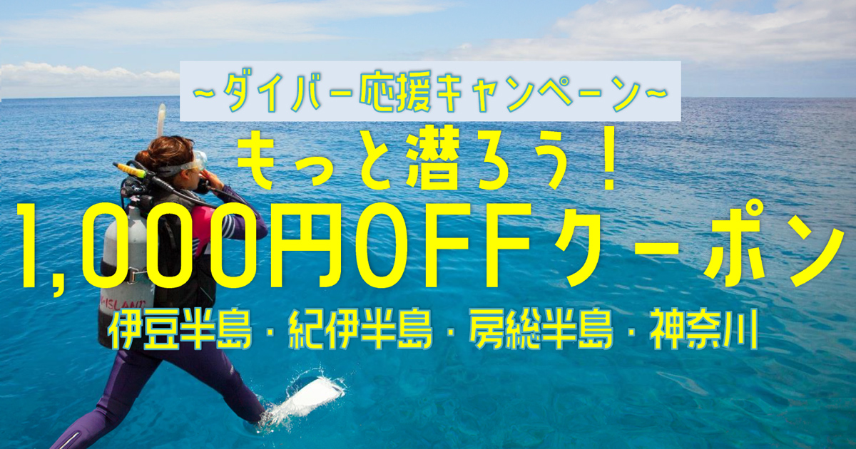 ～ダイバー応援キャンペーン～　「マリンダイビングWeb」オリジナル1,000円OFFクーポンでもっと海を楽しもう