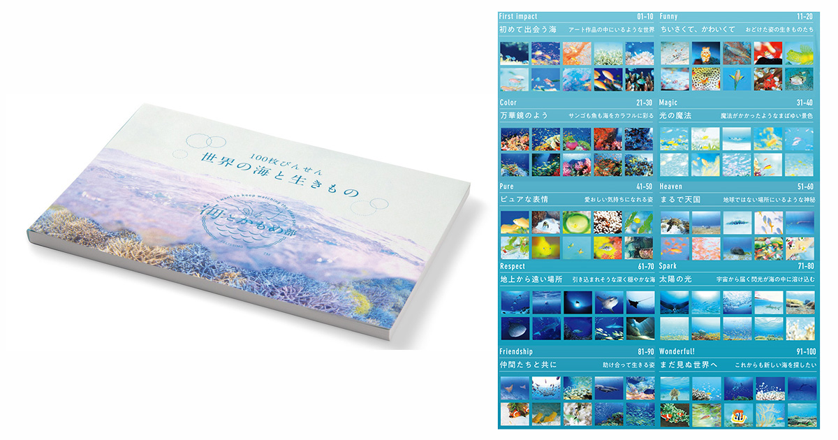 鍵井靖章さん 「100枚びんせん　世界の海と生きもの」 2名さまにプレゼント！
