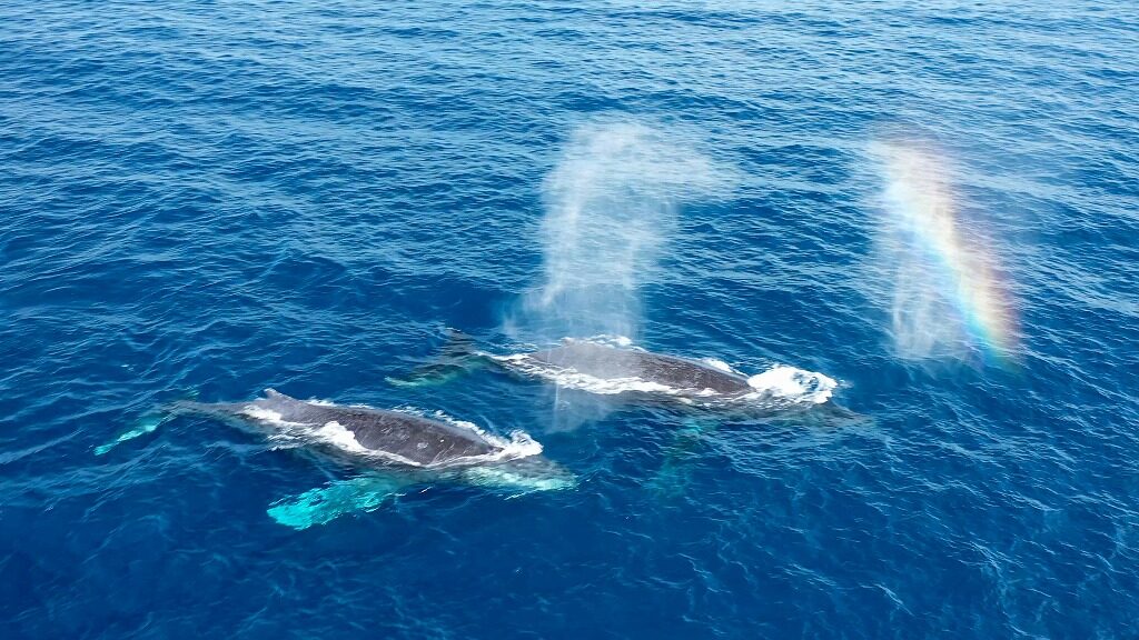 61114624b6b3c276f4e6fbbce02e89