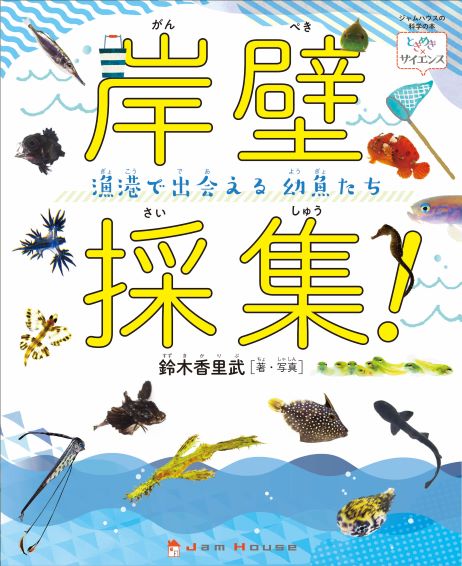 『岸壁採集　漁港で出会える幼魚たち』も併せて読みたい