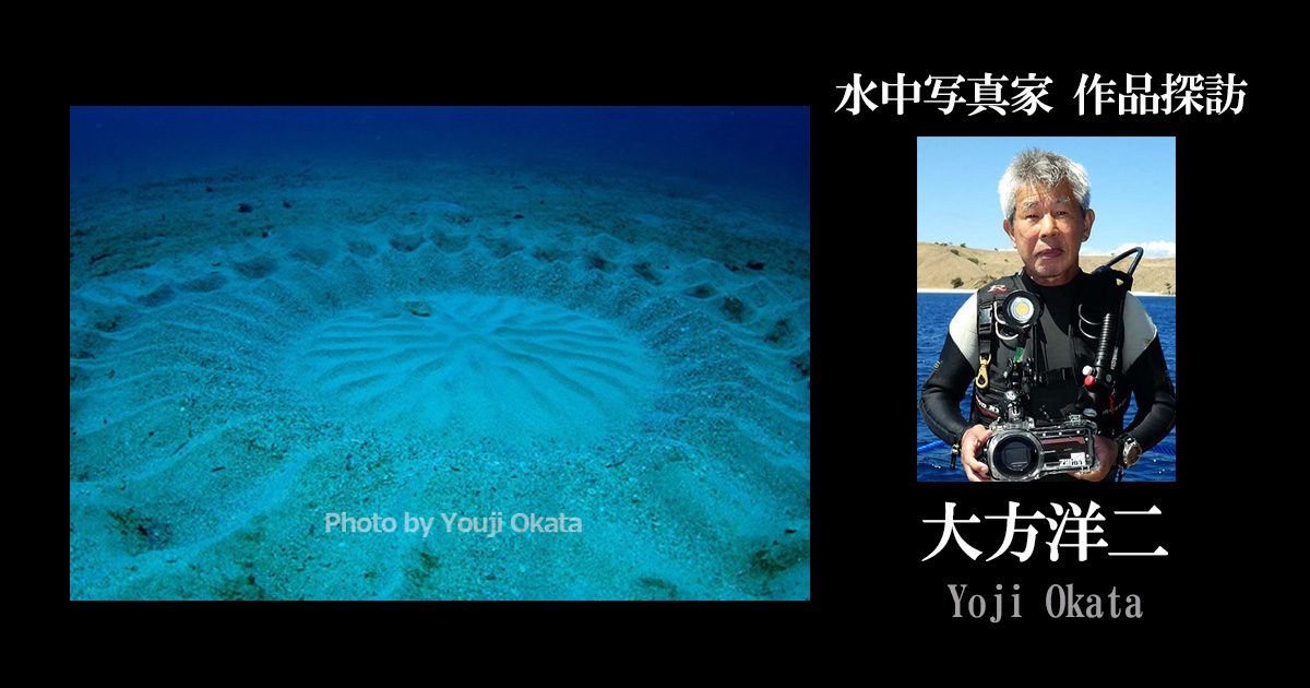 【連載】水中写真家 作品探訪－大方洋二