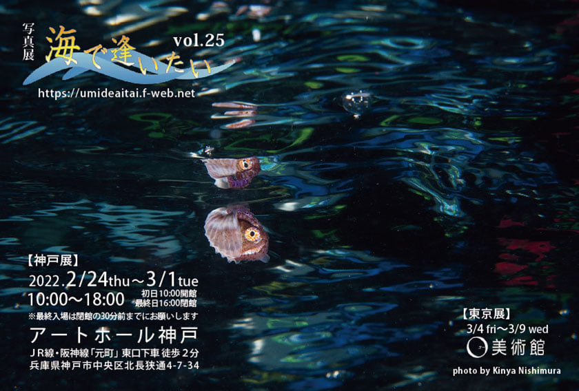 写真展「海で逢いたい」神戸展2/24～3/1開催