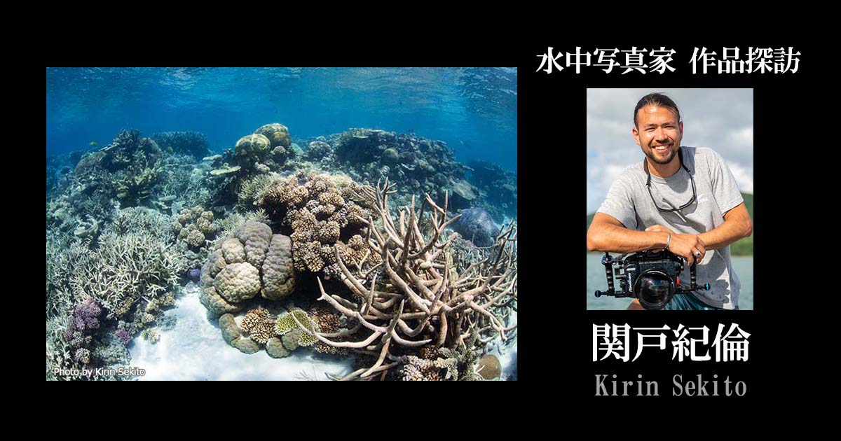 【連載】水中写真家 作品探訪－関戸紀倫
