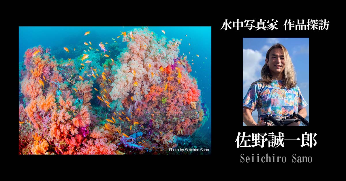【連載】水中写真家 作品探訪－佐野誠一郎
