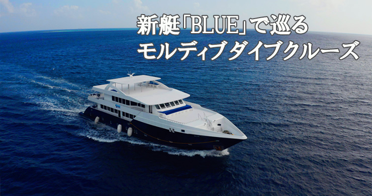 新艇「BLUE」で巡るモルディブダイブクルーズ