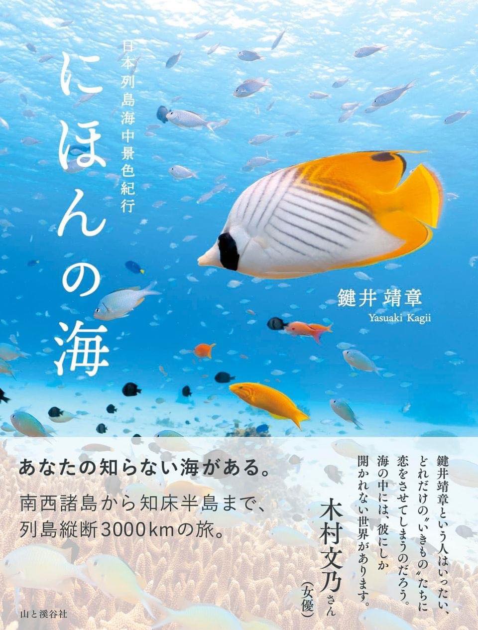 帯には何度か一緒に水中撮影旅行をしている女優の木村文乃さんが素敵なコメントを書いている