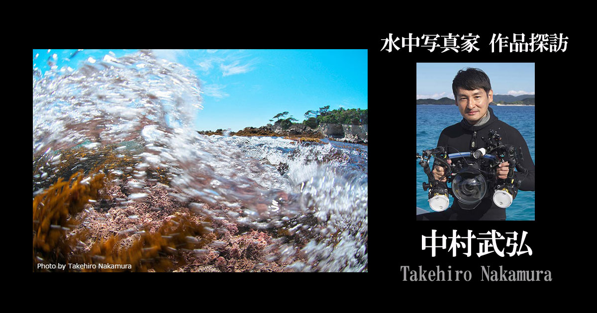 【連載】水中写真家 作品探訪－中村武弘