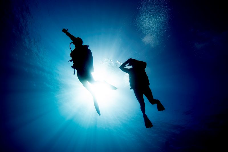 水中でも確実に気づく振動通知機能で、安全に楽しいダイビングを！