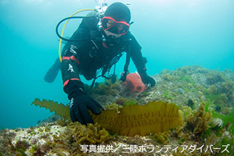 三陸ボランティアダイバーズの佐藤寛志さんが日本人初の「Sea Hero」に！