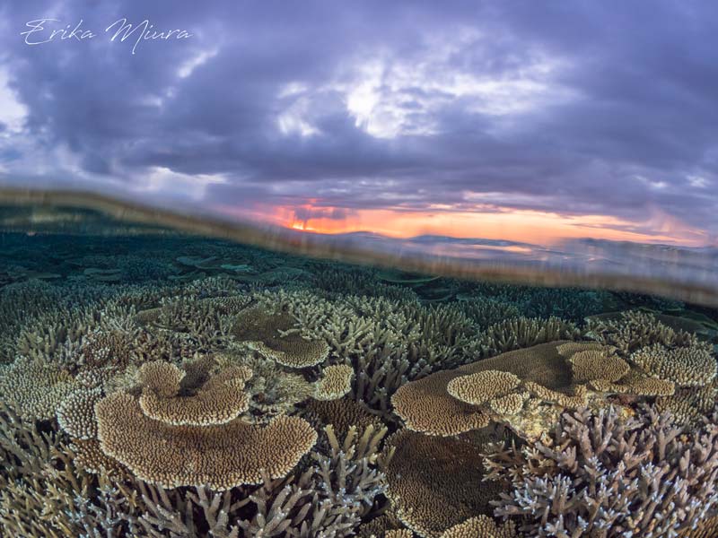 夕暮れのサンゴ礁（沖縄県石垣島）