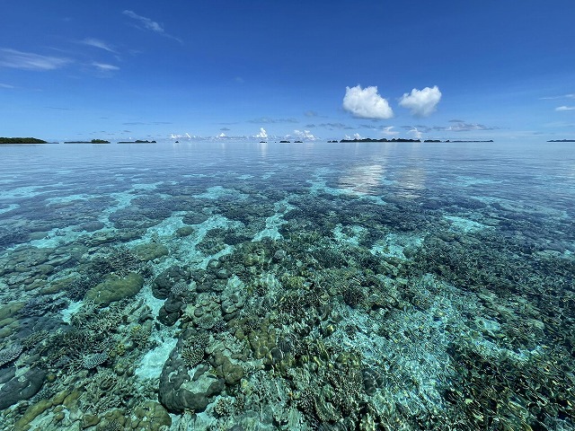 Photo by Yoshio Hori,  Aquamagic Palau