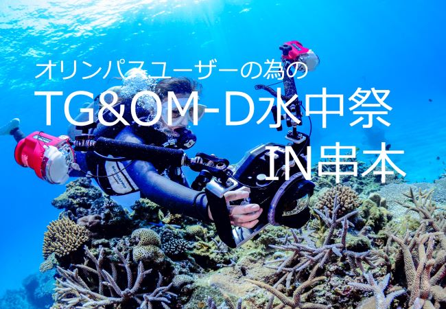 写真家 清水淳さんがオリンパスユーザーのためのTG＆OM-D水中祭IN串本6/10～11に開催！