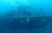 沈船ダイビングスポットで有名！ 熱海のクールな海中世界