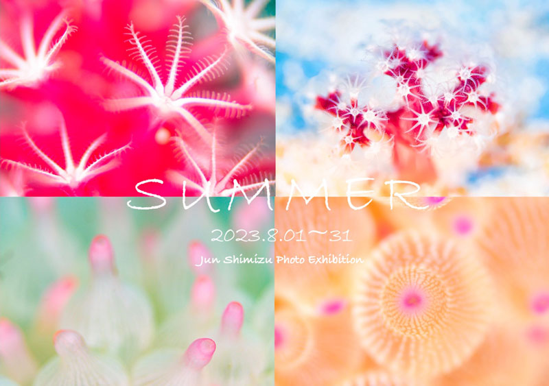 清水淳写真展「SUMMER」2023年8月1日～8月31日に開催！