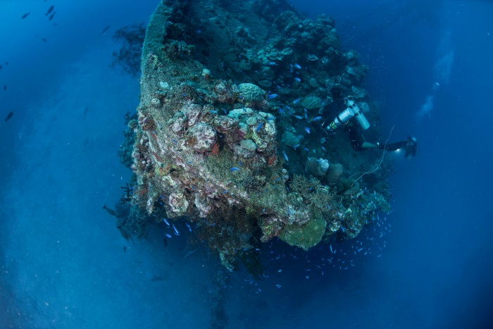 ミクロネシア連邦チュークの沈船　写真／道城征央