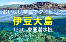 「おいしい空気」でダイビング 伊豆大島 feat.東亜潜水機